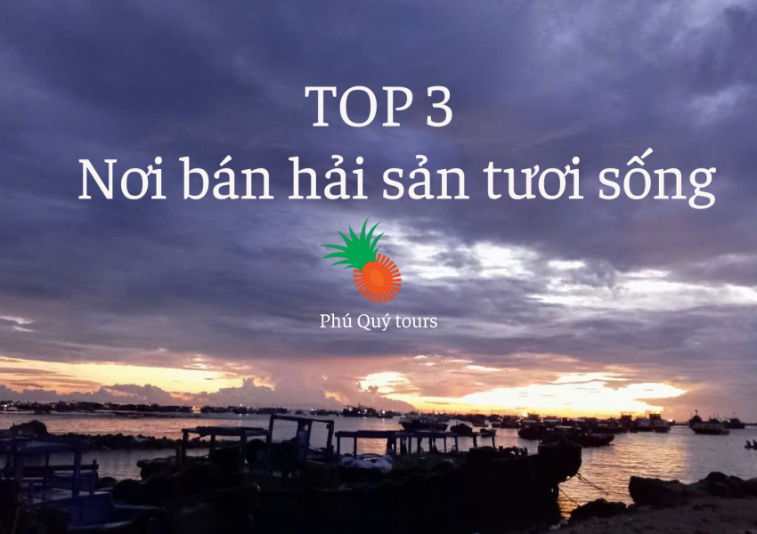 top-3-noi-ban-hai-san-tuoi-song-phu-quy-tours